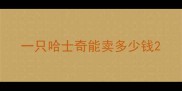 一只哈士奇能卖多少钱