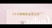2个月狗狗贫血怎么办