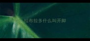 拉布拉多什么叫开脚