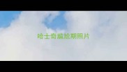 哈士奇尴尬期照片