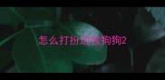 怎么打扮边牧狗狗