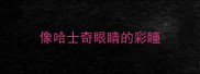 像哈士奇眼睛的彩瞳