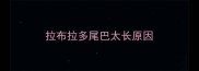 拉布拉多尾巴太长原因