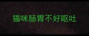 猫咪肠胃不好呕吐