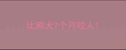 比熊犬7个月咬人