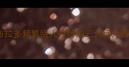 拉布拉多频繁绕人打转的三大行为诱因