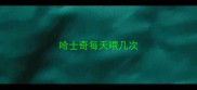 哈士奇每天喂几次
