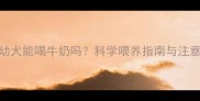 哈士奇幼犬能喝牛奶吗科学喂养指南与注意事项全
