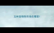 玉林宠物狗市场在哪里