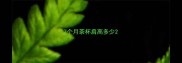 7个月茶杯肩高多少