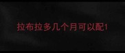 拉布拉多几个月可以配