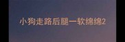 小狗走路后腿一软绵绵
