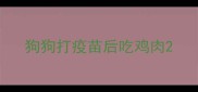 狗狗打疫苗后吃鸡肉