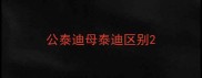 公泰迪母泰迪区别
