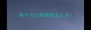 两个月比熊咳嗽怎么办