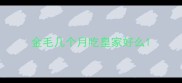 金毛几个月吃皇家好么