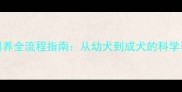 金毛犬饲养全流程指南从幼犬到成犬的科学养护手册