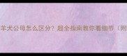 边境牧羊犬公母怎么区分超全指南教你看细节附对比图