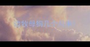 边牧母狗几个月来