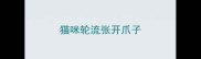 猫咪轮流张开爪子