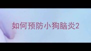 如何预防小狗脑炎