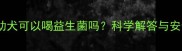 两个月大的幼犬可以喝益生菌吗科学解答与安全使用指南