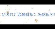 狗狗辉瑞疫苗全幼犬打几联最科学免疫程序与注意事项全指南