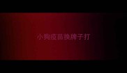 小狗疫苗换牌子打