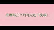 萨摩耶几个月可以吃干狗粮