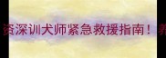哈士奇40天没精神资深训犬师紧急救援指南养宠必看健康信号解读