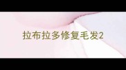 拉布拉多修复毛发