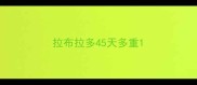 拉布拉多45天多重