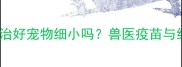 细小病毒疫苗能治好宠物细小吗兽医疫苗与细小治疗的真相