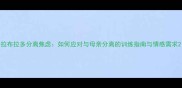 拉布拉多分离焦虑如何应对与母亲分离的训练指南与情感需求