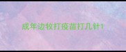 成年边牧打疫苗打几针