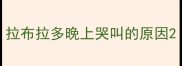 拉布拉多晚上哭叫的原因
