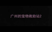 广州的宠物救助站