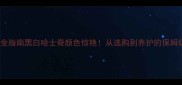 全网最全指南黑白哈士奇颜色惊艳从选购到养护的保姆级攻略
