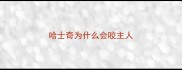 哈士奇为什么会咬主人