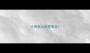小狗怎么吃思密达