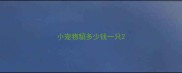 小宠物貂多少钱一只