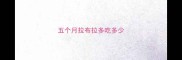 五个月拉布拉多吃多少