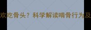 小狗为什么喜欢吃骨头科学解读啃骨行为及健康喂养指南