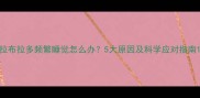 拉布拉多频繁睡觉怎么办5大原因及科学应对指南