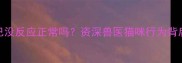 猫咪被踩尾巴没反应正常吗资深兽医猫咪行为背后的科学真相