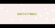 狗狗不吃不喝呕吐