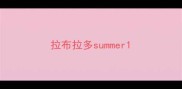 拉布拉多summer