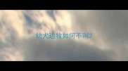 幼犬边牧如何不叫