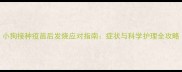 小狗接种疫苗后发烧应对指南症状与科学护理全攻略