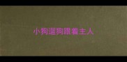 小狗遛狗跟着主人